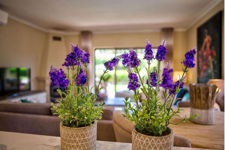 2Bedroom Bungalow Heated Shared Pool ,Near Carvoeiro And Ferrugudo Ngoại thất bức ảnh